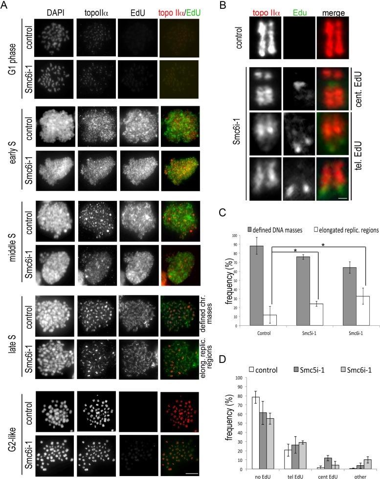 https://cdn.ncbi.nlm.nih.gov/pmc/blobs/5002/3890350/aa82c367af62/302fig9.jpg