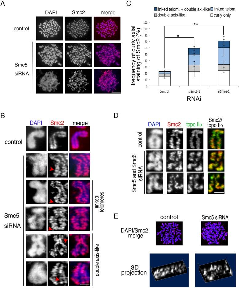 https://cdn.ncbi.nlm.nih.gov/pmc/blobs/5002/3890350/b0afacc34526/302fig5.jpg