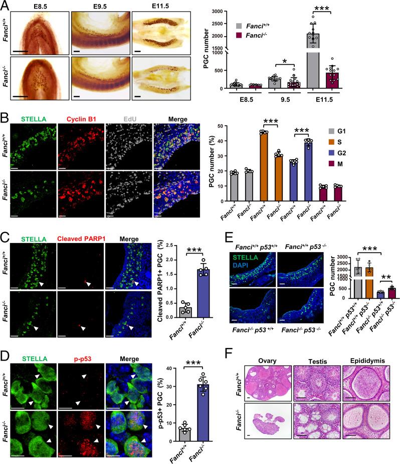 https://cdn.ncbi.nlm.nih.gov/pmc/blobs/5002/9407672/790d9ff581ee/pnas.2203208119fig05.jpg