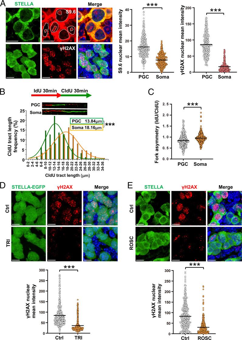 https://cdn.ncbi.nlm.nih.gov/pmc/blobs/5002/9407672/8f756be8a0c6/pnas.2203208119fig02.jpg