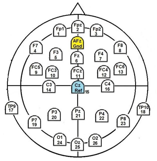 https://cdn.ncbi.nlm.nih.gov/pmc/blobs/5003/7186426/454b484040b3/fphys-11-00300-g0001.jpg