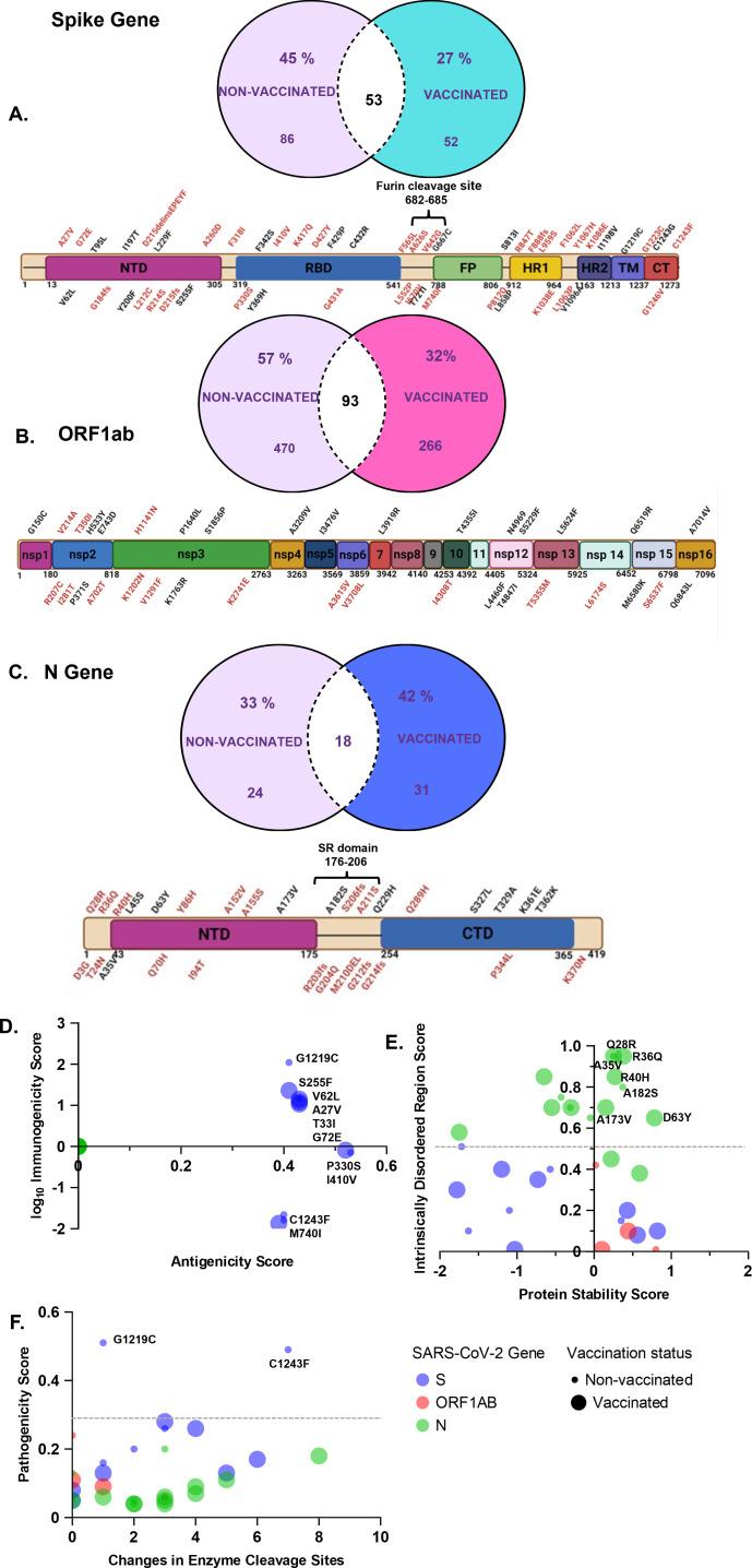 https://cdn.ncbi.nlm.nih.gov/pmc/blobs/5005/12172480/77daf13e008a/jvi.00482-25.f004.jpg