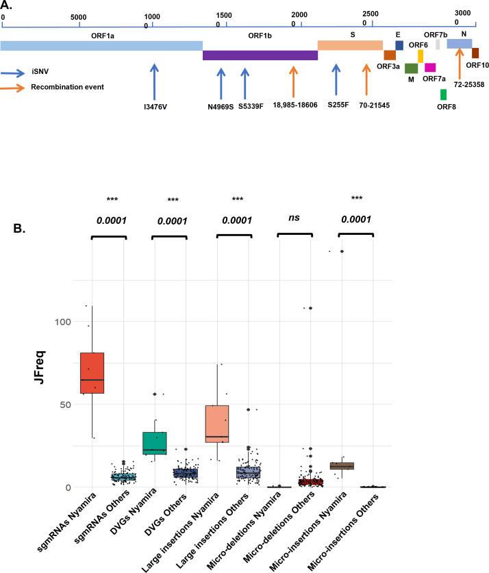 https://cdn.ncbi.nlm.nih.gov/pmc/blobs/5005/12172480/fc22a556e6a0/jvi.00482-25.f005.jpg