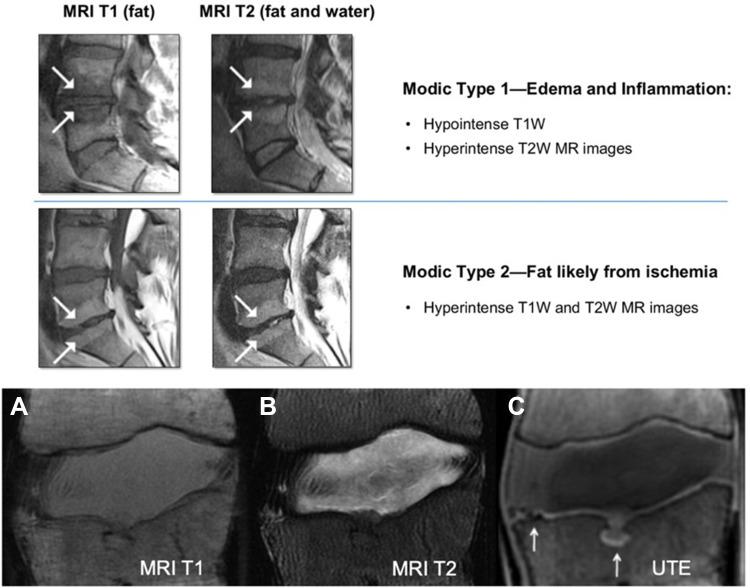 https://cdn.ncbi.nlm.nih.gov/pmc/blobs/5005/9482788/ed3c8de2a7a5/JPR-15-2801-g0003.jpg