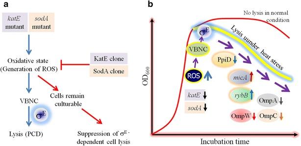 https://cdn.ncbi.nlm.nih.gov/pmc/blobs/5006/4627973/b9cd68c3487b/40064_2015_1415_Fig5_HTML.jpg