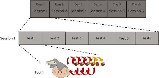 https://cdn.ncbi.nlm.nih.gov/pmc/blobs/5007/10770232/ea2ada67f2b6/10071_2023_1830_Fig3_HTML.jpg