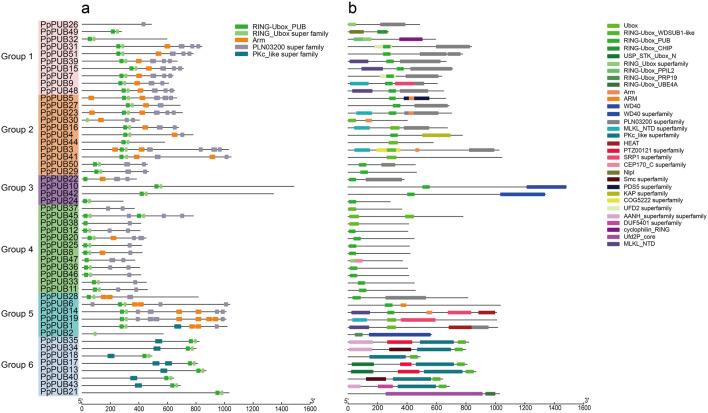 https://cdn.ncbi.nlm.nih.gov/pmc/blobs/5007/12198168/169524c19460/fgene-16-1549981-g003.jpg