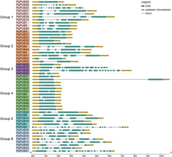 https://cdn.ncbi.nlm.nih.gov/pmc/blobs/5007/12198168/891215360010/fgene-16-1549981-g002.jpg