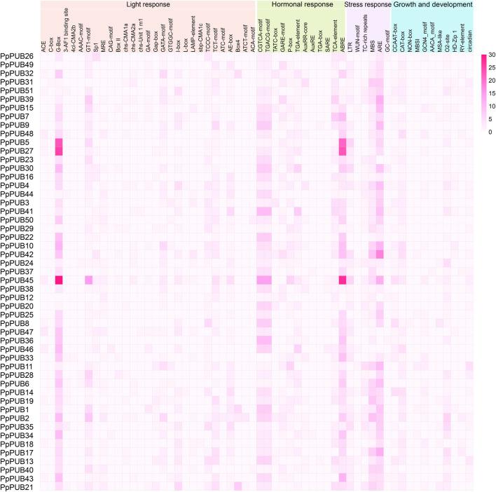 https://cdn.ncbi.nlm.nih.gov/pmc/blobs/5007/12198168/b4a090dac645/fgene-16-1549981-g004.jpg