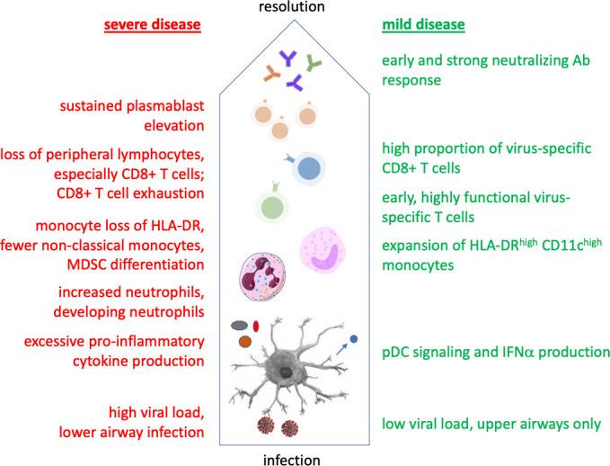 https://cdn.ncbi.nlm.nih.gov/pmc/blobs/5007/8108128/fa3bf6338eb2/jitc-2021-002550f01.jpg