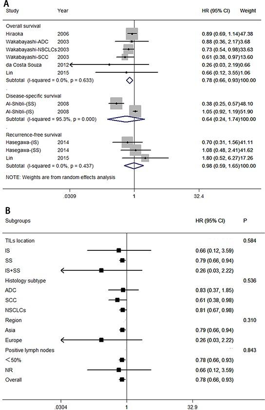https://cdn.ncbi.nlm.nih.gov/pmc/blobs/5008/4924677/0f3418506b77/oncotarget-07-13765-g005.jpg