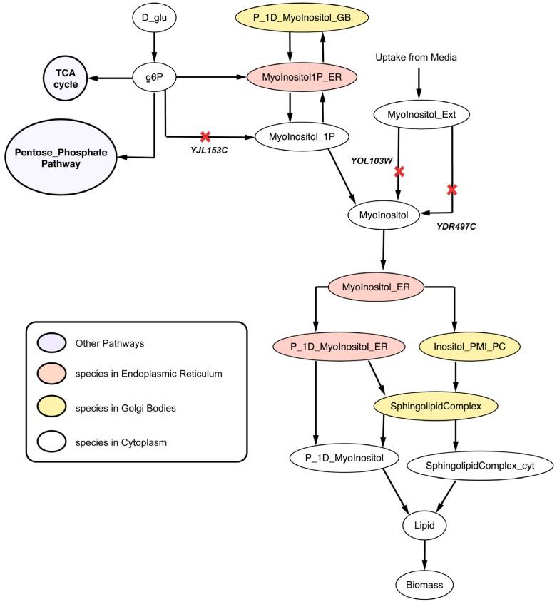 https://cdn.ncbi.nlm.nih.gov/pmc/blobs/5009/4693185/00f65852baa8/metabolites-05-00536-g010.jpg