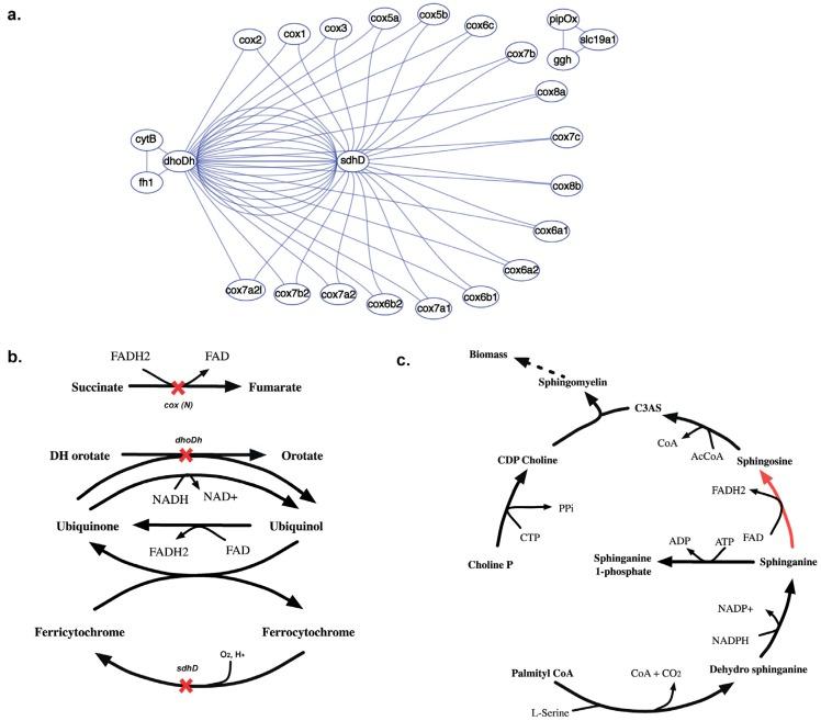 https://cdn.ncbi.nlm.nih.gov/pmc/blobs/5009/4693185/82ea5894aaa7/metabolites-05-00536-g015.jpg