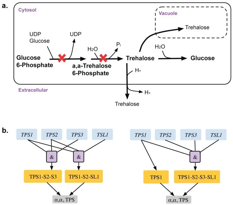 https://cdn.ncbi.nlm.nih.gov/pmc/blobs/5009/4693185/968d6eadd1a5/metabolites-05-00536-g003.jpg