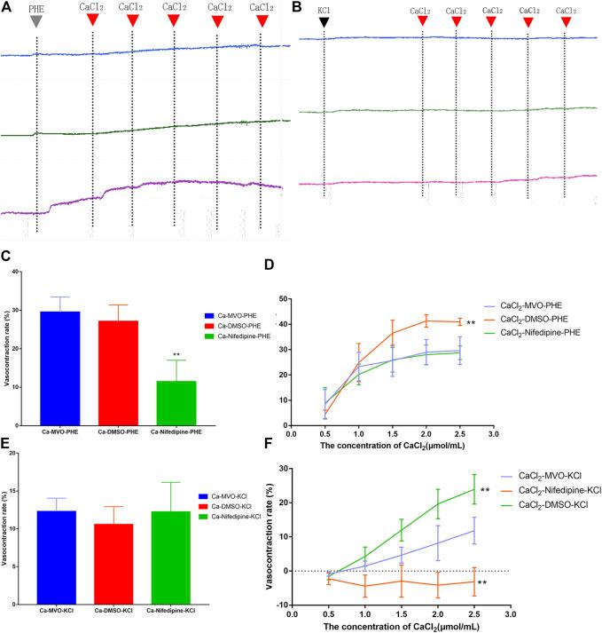 https://cdn.ncbi.nlm.nih.gov/pmc/blobs/500b/8926352/3fc4c28a4286/fphar-13-812716-g009.jpg