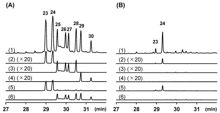 https://cdn.ncbi.nlm.nih.gov/pmc/blobs/500c/10975921/2ca792c605ac/molecules-29-01216-g004.jpg