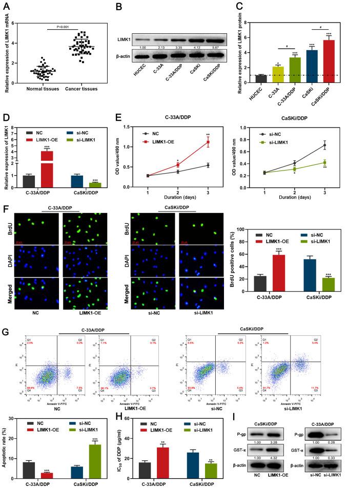 https://cdn.ncbi.nlm.nih.gov/pmc/blobs/500e/7988690/460c32bbc97c/ol-21-05-12653-g03.jpg