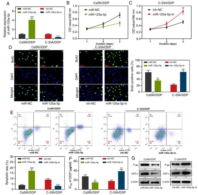 https://cdn.ncbi.nlm.nih.gov/pmc/blobs/500e/7988690/58c5d3df5e13/ol-21-05-12653-g01.jpg