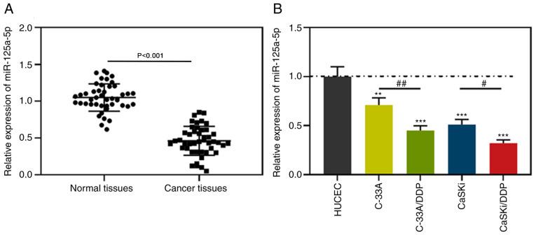 https://cdn.ncbi.nlm.nih.gov/pmc/blobs/500e/7988690/aa6d3bb965f5/ol-21-05-12653-g00.jpg