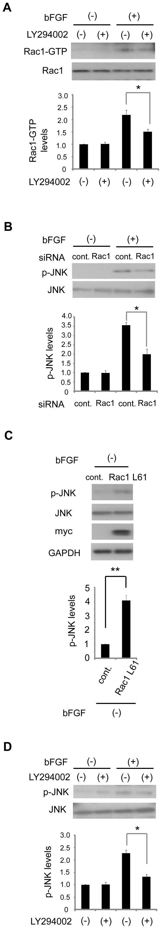 https://cdn.ncbi.nlm.nih.gov/pmc/blobs/5010/2923192/698760523af0/pone.0012228.g007.jpg
