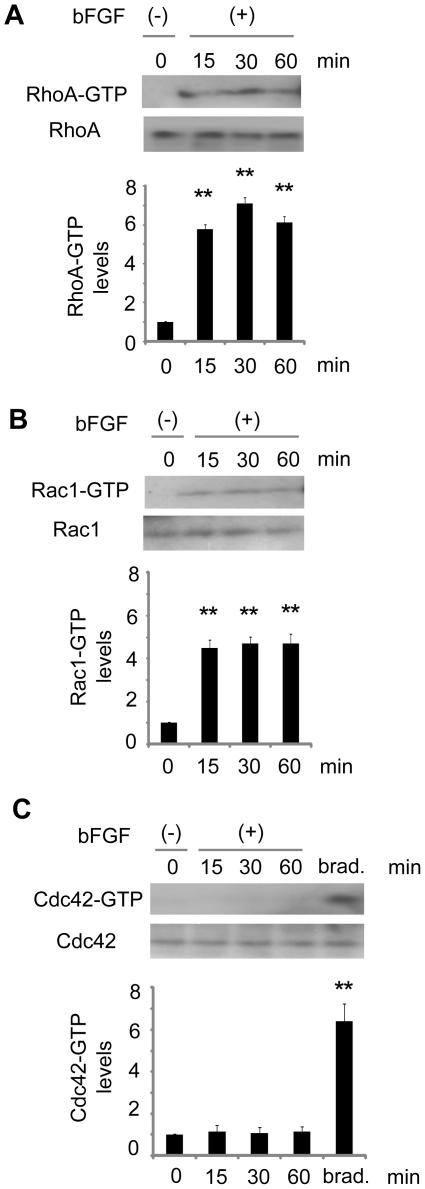 https://cdn.ncbi.nlm.nih.gov/pmc/blobs/5010/2923192/bd6989c05047/pone.0012228.g003.jpg