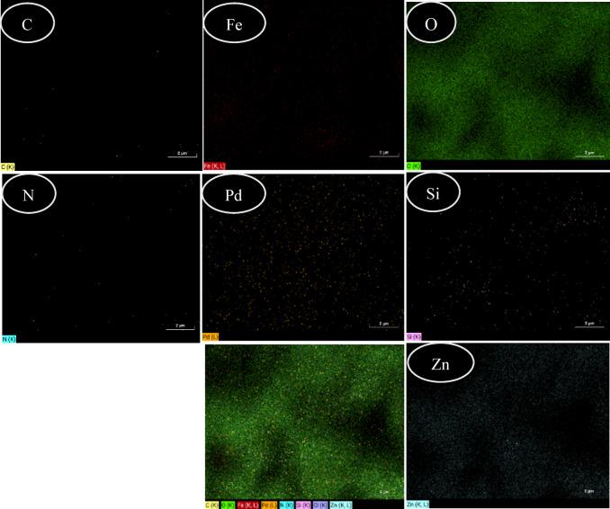 https://cdn.ncbi.nlm.nih.gov/pmc/blobs/5011/12255767/15eb23029418/41598_2025_10438_Fig8_HTML.jpg
