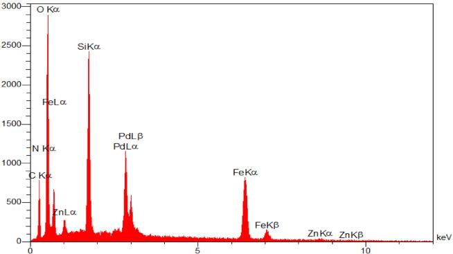 https://cdn.ncbi.nlm.nih.gov/pmc/blobs/5011/12255767/3129f2849481/41598_2025_10438_Fig7_HTML.jpg