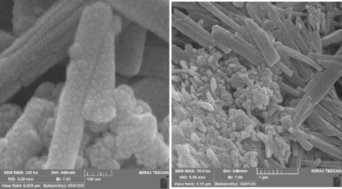 https://cdn.ncbi.nlm.nih.gov/pmc/blobs/5011/12255767/c9380bfe9c09/41598_2025_10438_Fig5_HTML.jpg