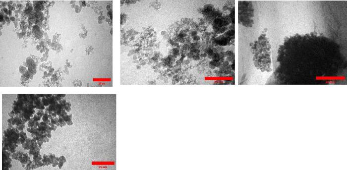 https://cdn.ncbi.nlm.nih.gov/pmc/blobs/5011/12255767/cc7ecf47440f/41598_2025_10438_Fig6_HTML.jpg