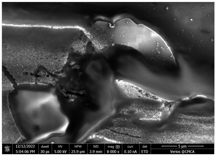 https://cdn.ncbi.nlm.nih.gov/pmc/blobs/5015/10780436/41e276a156f8/nanomaterials-14-00019-g0A1.jpg