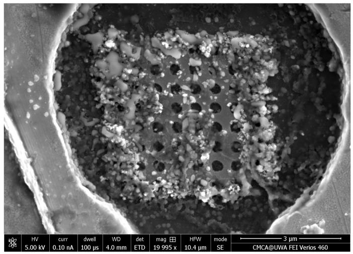 https://cdn.ncbi.nlm.nih.gov/pmc/blobs/5015/10780436/8790ef4b7f89/nanomaterials-14-00019-g0A3.jpg