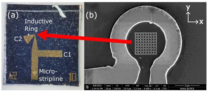 https://cdn.ncbi.nlm.nih.gov/pmc/blobs/5015/10780436/af9f3137aa4a/nanomaterials-14-00019-g001.jpg