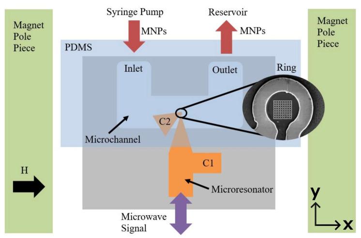 https://cdn.ncbi.nlm.nih.gov/pmc/blobs/5015/10780436/b5c8e41cd654/nanomaterials-14-00019-g004.jpg