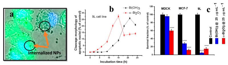 https://cdn.ncbi.nlm.nih.gov/pmc/blobs/5017/9319169/01123ef24ea7/nanomaterials-12-02462-g019.jpg