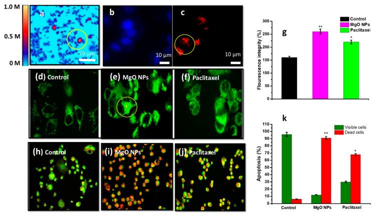 https://cdn.ncbi.nlm.nih.gov/pmc/blobs/5017/9319169/463684061621/nanomaterials-12-02462-g021.jpg