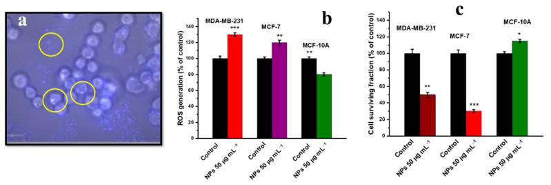 https://cdn.ncbi.nlm.nih.gov/pmc/blobs/5017/9319169/4726d19f7100/nanomaterials-12-02462-g010.jpg
