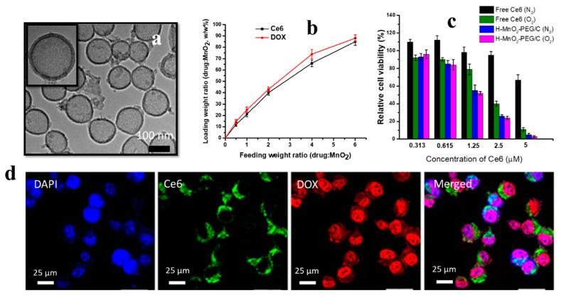 https://cdn.ncbi.nlm.nih.gov/pmc/blobs/5017/9319169/494ad2d56d42/nanomaterials-12-02462-g006.jpg