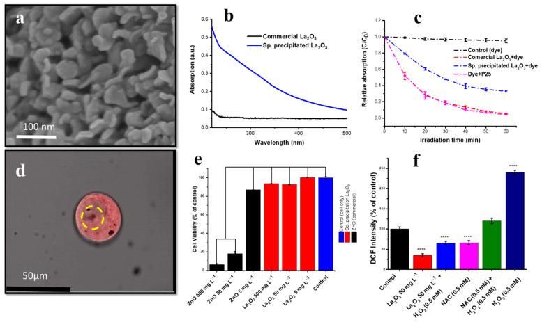 https://cdn.ncbi.nlm.nih.gov/pmc/blobs/5017/9319169/74bf16a051e5/nanomaterials-12-02462-g016.jpg