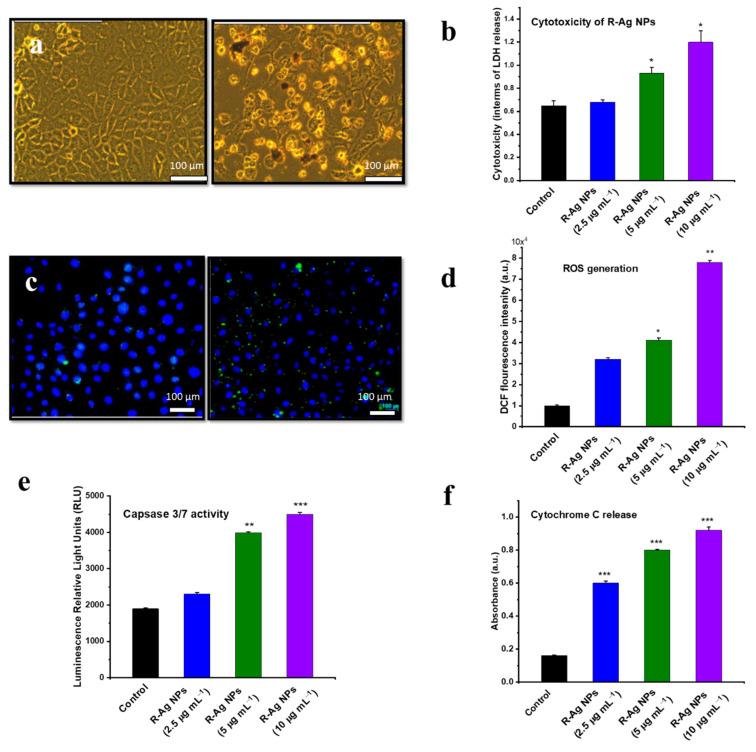 https://cdn.ncbi.nlm.nih.gov/pmc/blobs/5017/9319169/94dd7e9e182c/nanomaterials-12-02462-g005.jpg