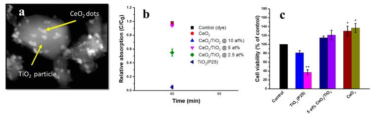 https://cdn.ncbi.nlm.nih.gov/pmc/blobs/5017/9319169/a12a98333f33/nanomaterials-12-02462-g013.jpg