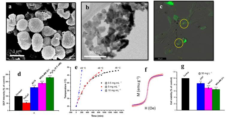 https://cdn.ncbi.nlm.nih.gov/pmc/blobs/5017/9319169/b0027ec52898/nanomaterials-12-02462-g009.jpg