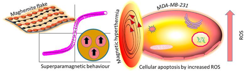 https://cdn.ncbi.nlm.nih.gov/pmc/blobs/5017/9319169/b5721cccc913/nanomaterials-12-02462-g008.jpg