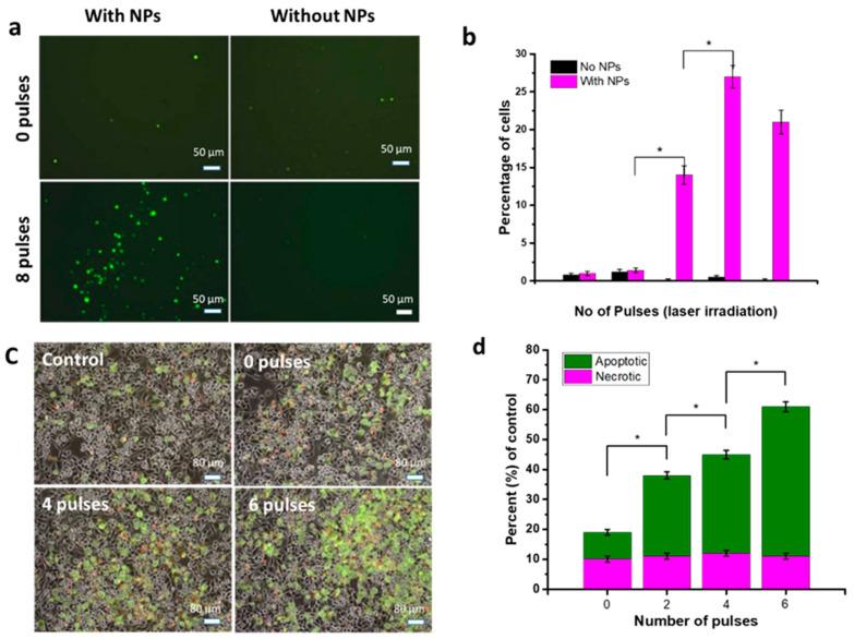 https://cdn.ncbi.nlm.nih.gov/pmc/blobs/5017/9319169/c3fadab40284/nanomaterials-12-02462-g003.jpg
