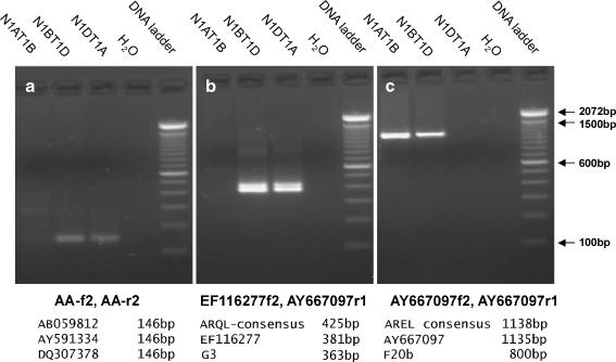 https://cdn.ncbi.nlm.nih.gov/pmc/blobs/5018/2700870/5749973f22e5/10142_2009_122_Fig5_HTML.jpg