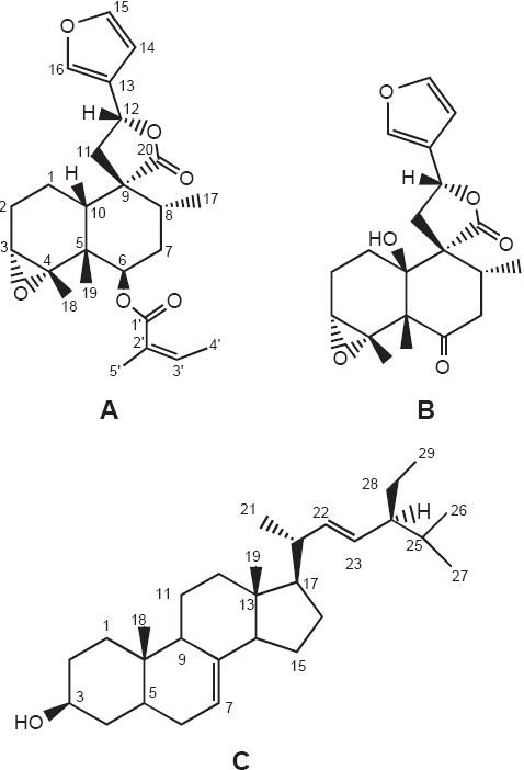 https://cdn.ncbi.nlm.nih.gov/pmc/blobs/5019/2841233/c7aab95d4b82/IJPharm-41-60-g001.jpg