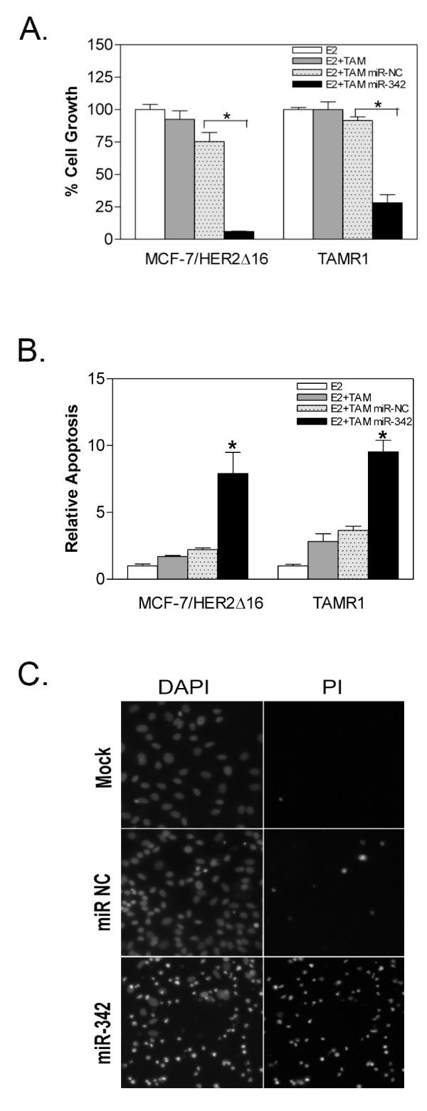 https://cdn.ncbi.nlm.nih.gov/pmc/blobs/501c/3024251/ace796dc839d/1476-4598-9-317-4.jpg