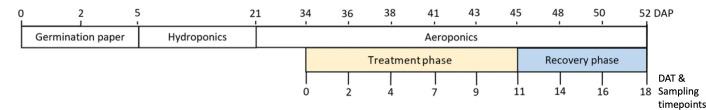 https://cdn.ncbi.nlm.nih.gov/pmc/blobs/501d/11611595/0e4c98d1ccd8/fpls-15-1431004-g001.jpg