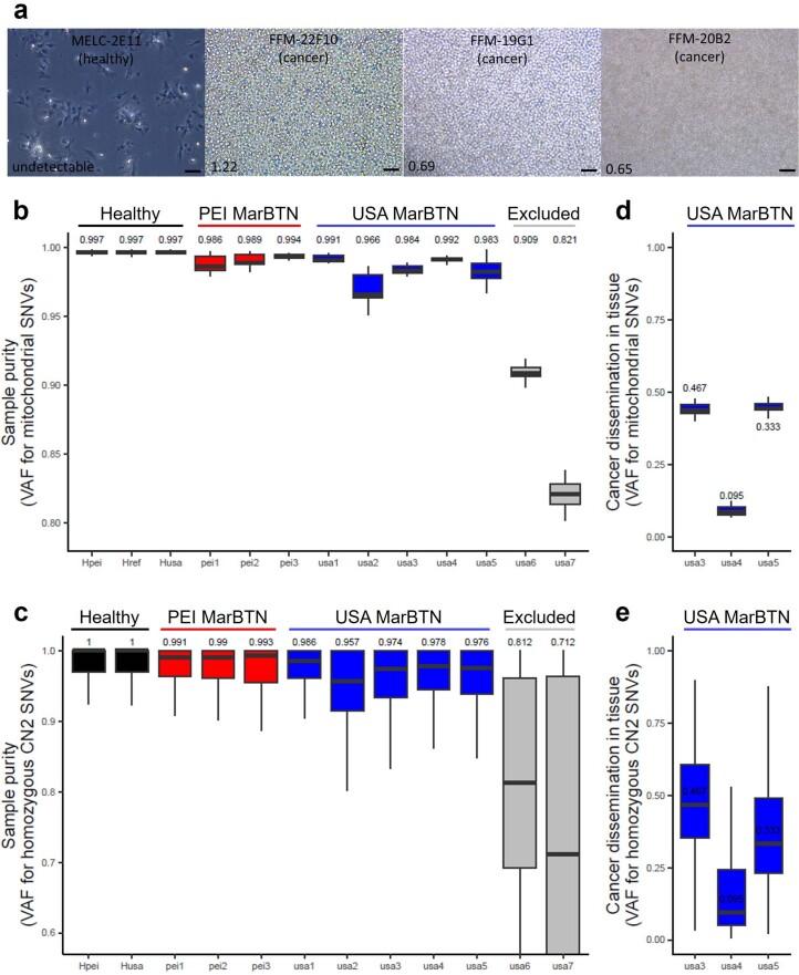 https://cdn.ncbi.nlm.nih.gov/pmc/blobs/501f/10663159/b5e56eeba45f/43018_2023_643_Fig6_ESM.jpg