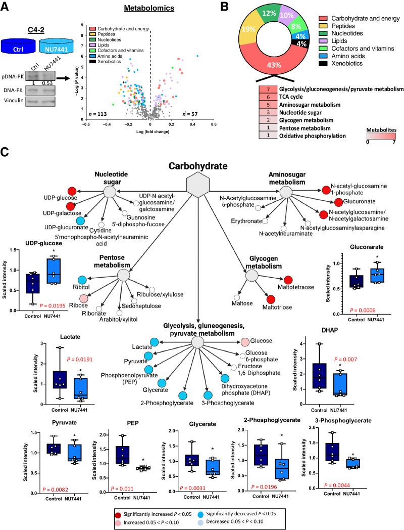 https://cdn.ncbi.nlm.nih.gov/pmc/blobs/5020/9365345/734bbfde7983/1446fig2.jpg