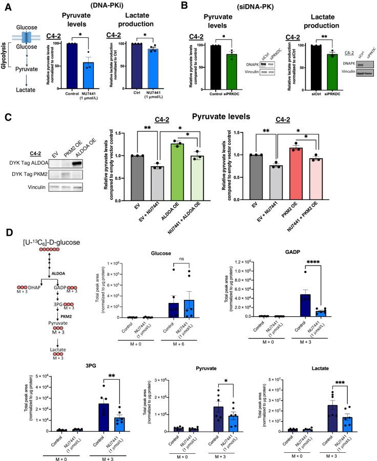 https://cdn.ncbi.nlm.nih.gov/pmc/blobs/5020/9365345/aad635c26740/1446fig4.jpg
